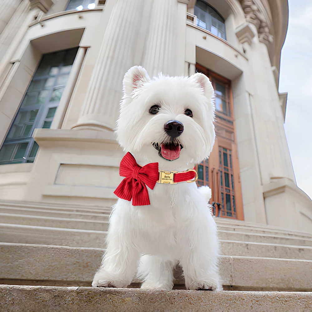 Collar de perro personalizado, pajarita grande, collares de identificación para perros, grabado gratis, bonito lazo para perros pequeños y medianos, accesorios para mascotas - imagen 5