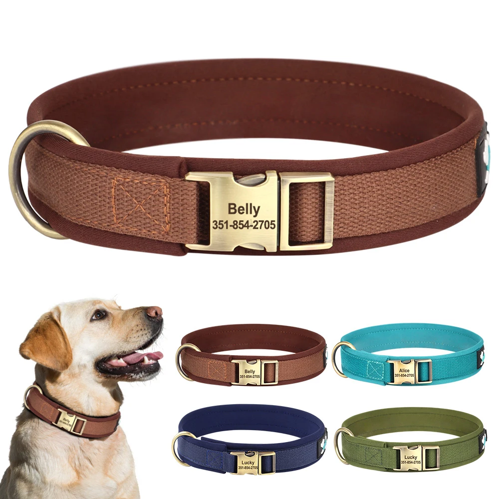 Collar de perro de nailon personalizado, collares para perros acolchados suaves, Collar de identificación duradero para mascotas, ajustable para perros pequeños, medianos y grandes, personalizado gratis