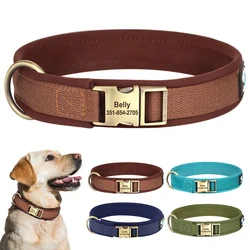 Collar acolchado para perro – Nailon resistente y cómodo