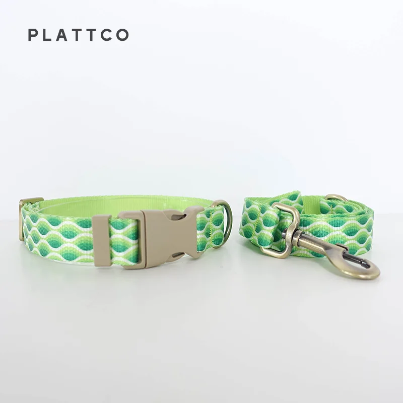 Dog Collar Leash Set