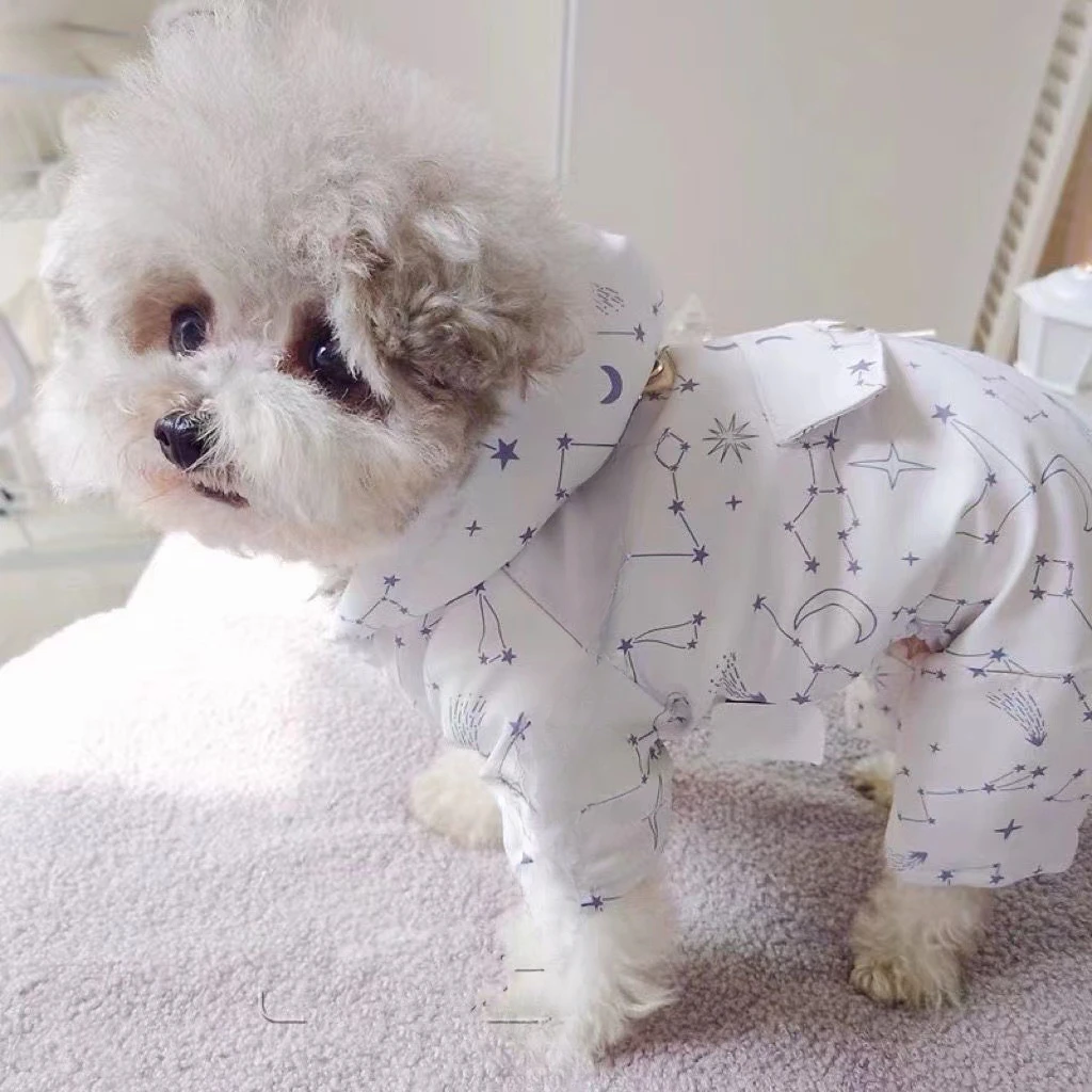 Abrigo de cuatro patas para otoño e invierno, mono de peluche para cachorros, pantalones de cuatro patas con lazo dibujable, ropa bonita para cachorros - imagen 3