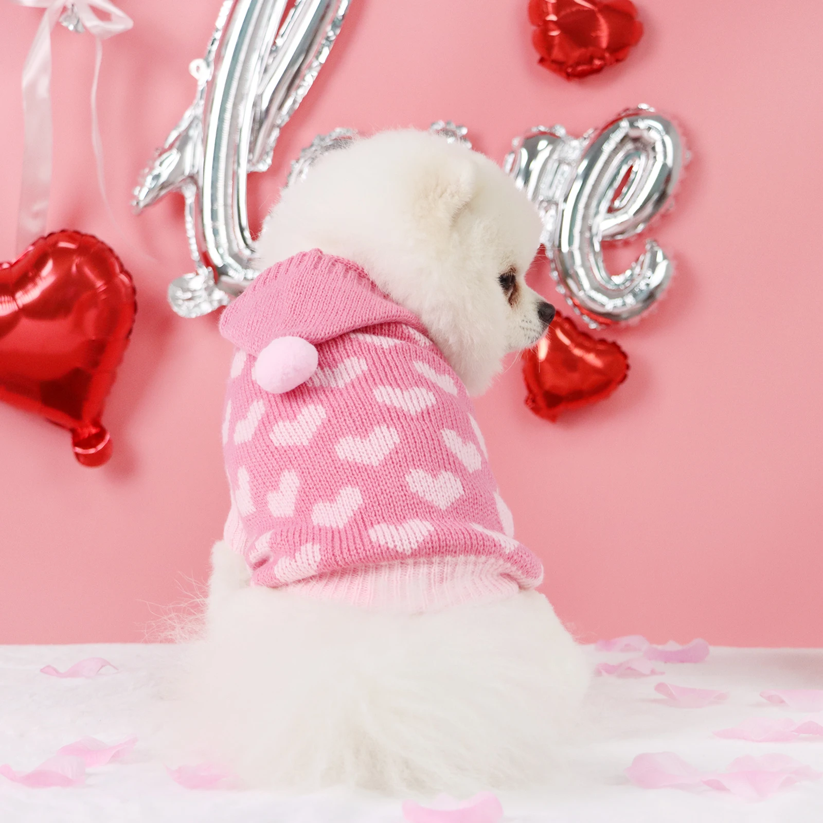 Jersey con capucha para perros pequeños y medianos – Cálido y cómodo para invierno - imagen 3