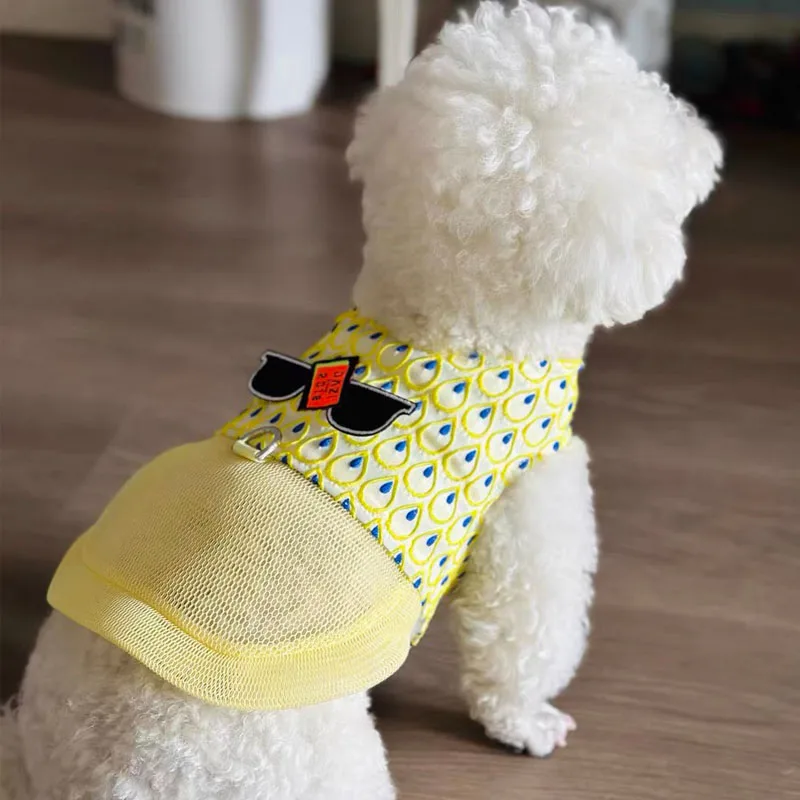 Conjunto de correa de arnés para perro de lujo, chaleco refrescante para perro de verano para Schnauzer maltés, arnés de malla transpirable ajustable para caminar al aire libre - imagen 5