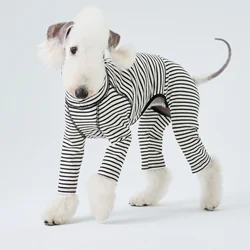 Abrigo de algodón a rayas blanco y negro para galgo cuello alto