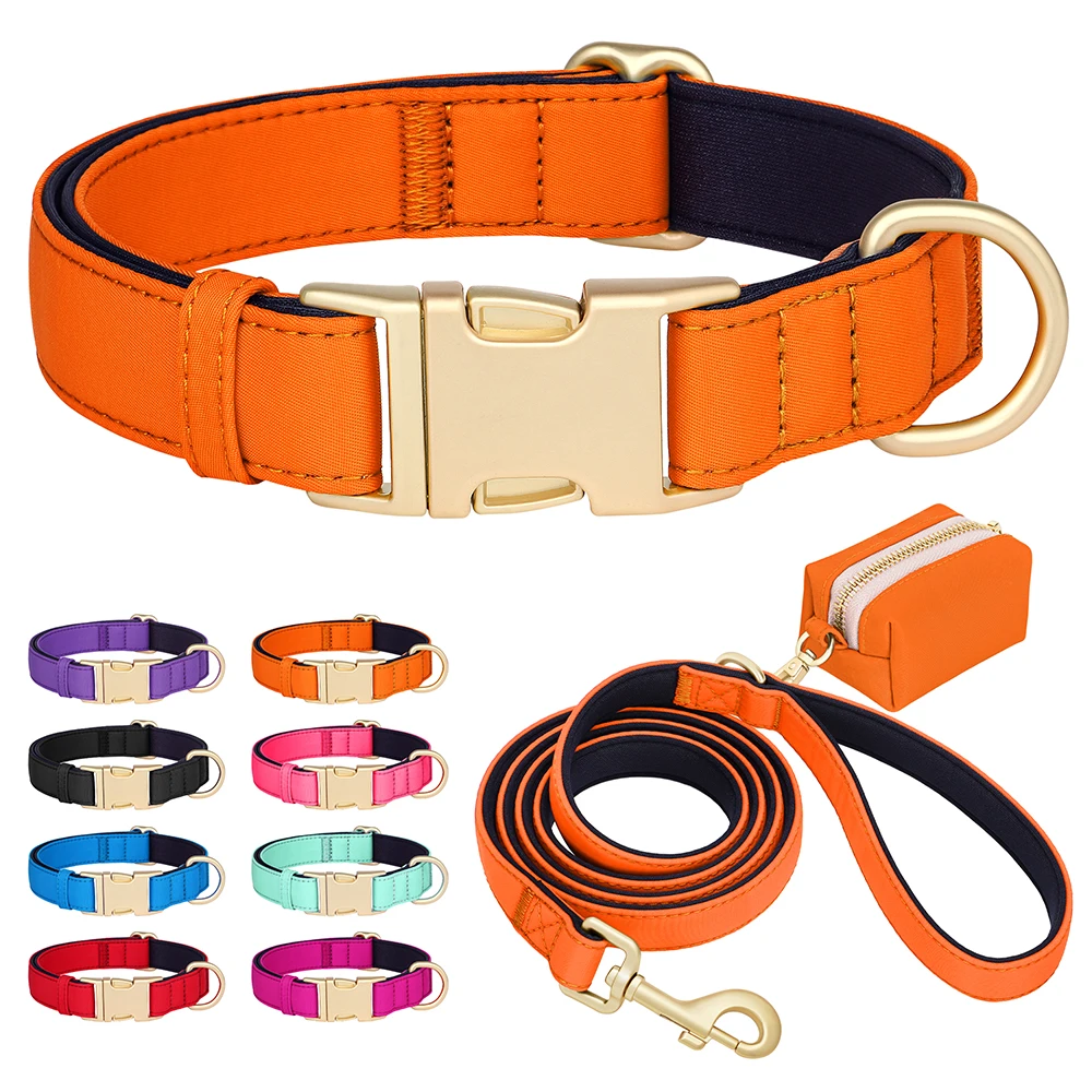Collar impermeable para perro con correa y bolsa de paseo - imagen 5