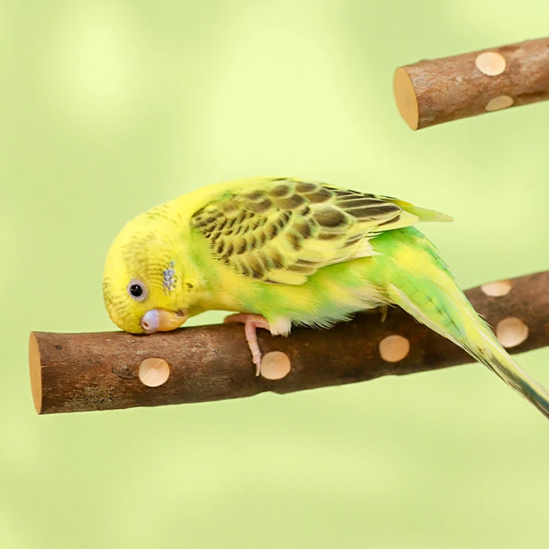 Barra de molienda de pico de garra de pájaro de madera, palo de pie, suministros para pájaros, accesorios para jaula, estación de loros, soporte de molienda, juguete, 15/20/30cm - imagen 3