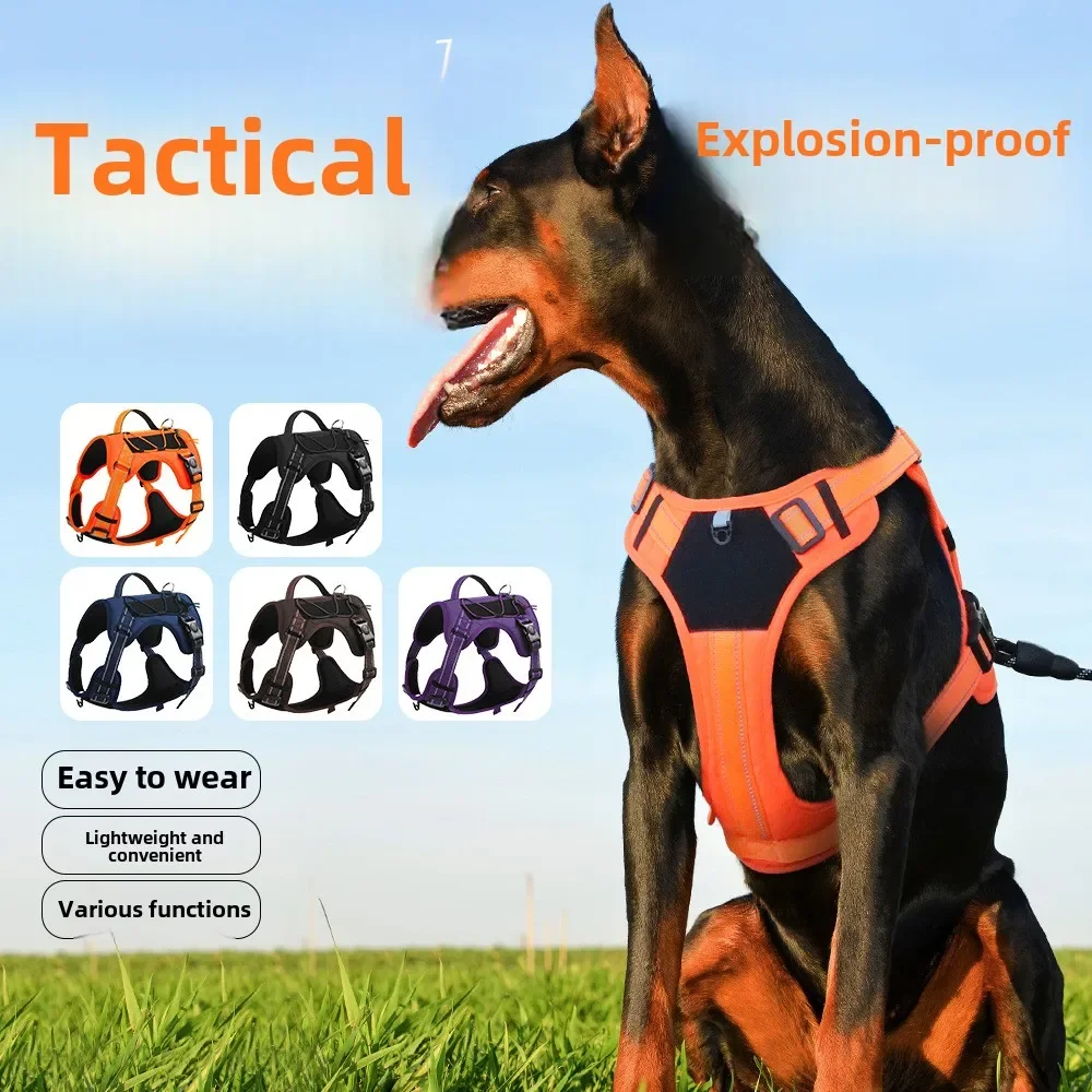 Correa para perro multifuncional a prueba de explosiones, correa para el pecho para mascotas, correa reflectante retráctil, cuerda para caminar para perros, productos para mascotas - imagen 2