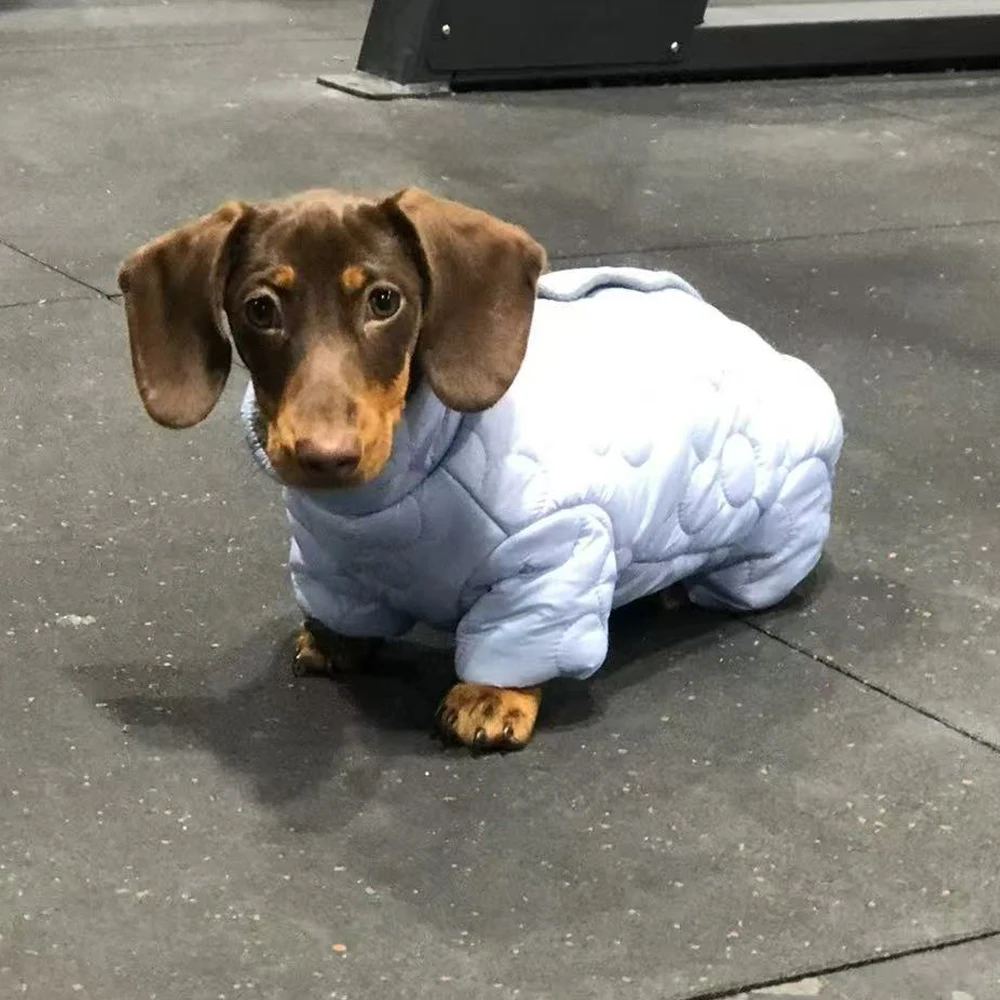 Chaqueta de plumón térmica para perro salchicha, abrigo invernal - imagen 3