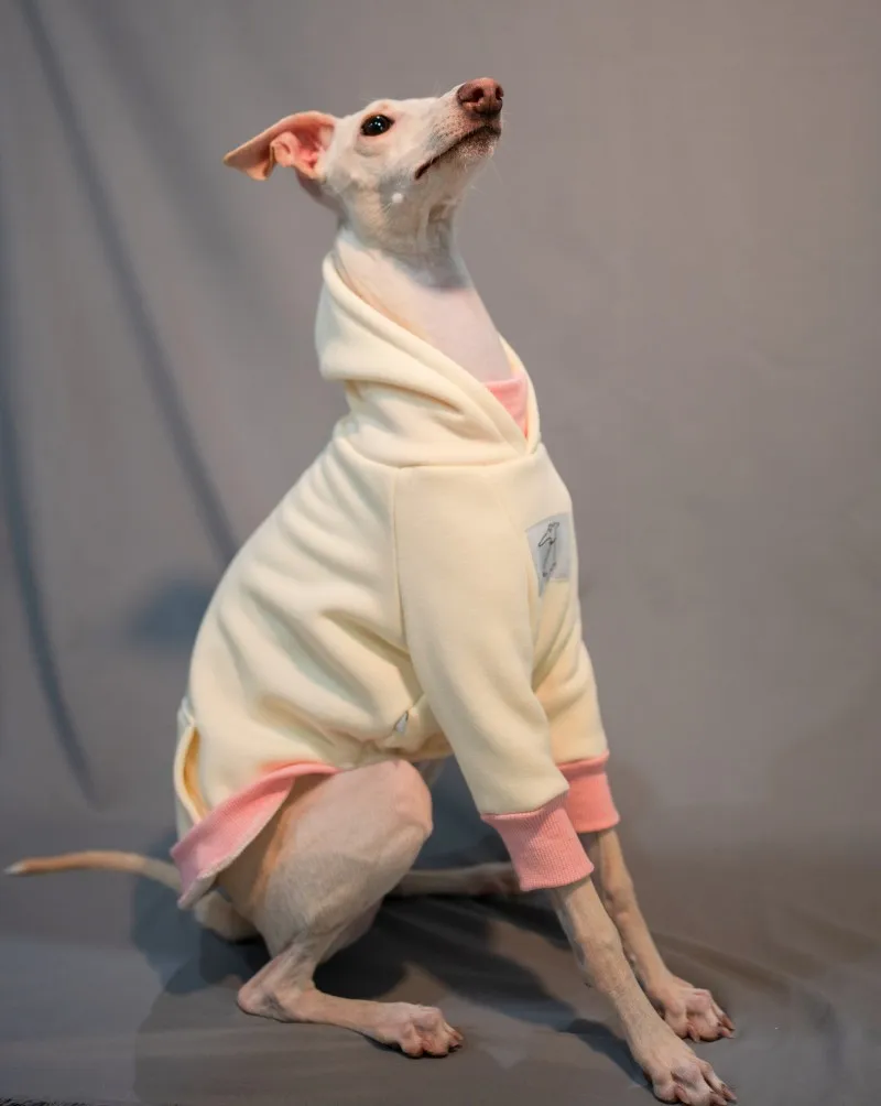 Sudadera CON CAPUCHA DE Galgo Italiano, Whippet, sudadera de invierno de algodón, Galaxia italiana, ropa para perros pequeños y medianos - imagen 3