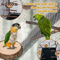 Perchas de madera natural para loros – Juguete para afilar garras