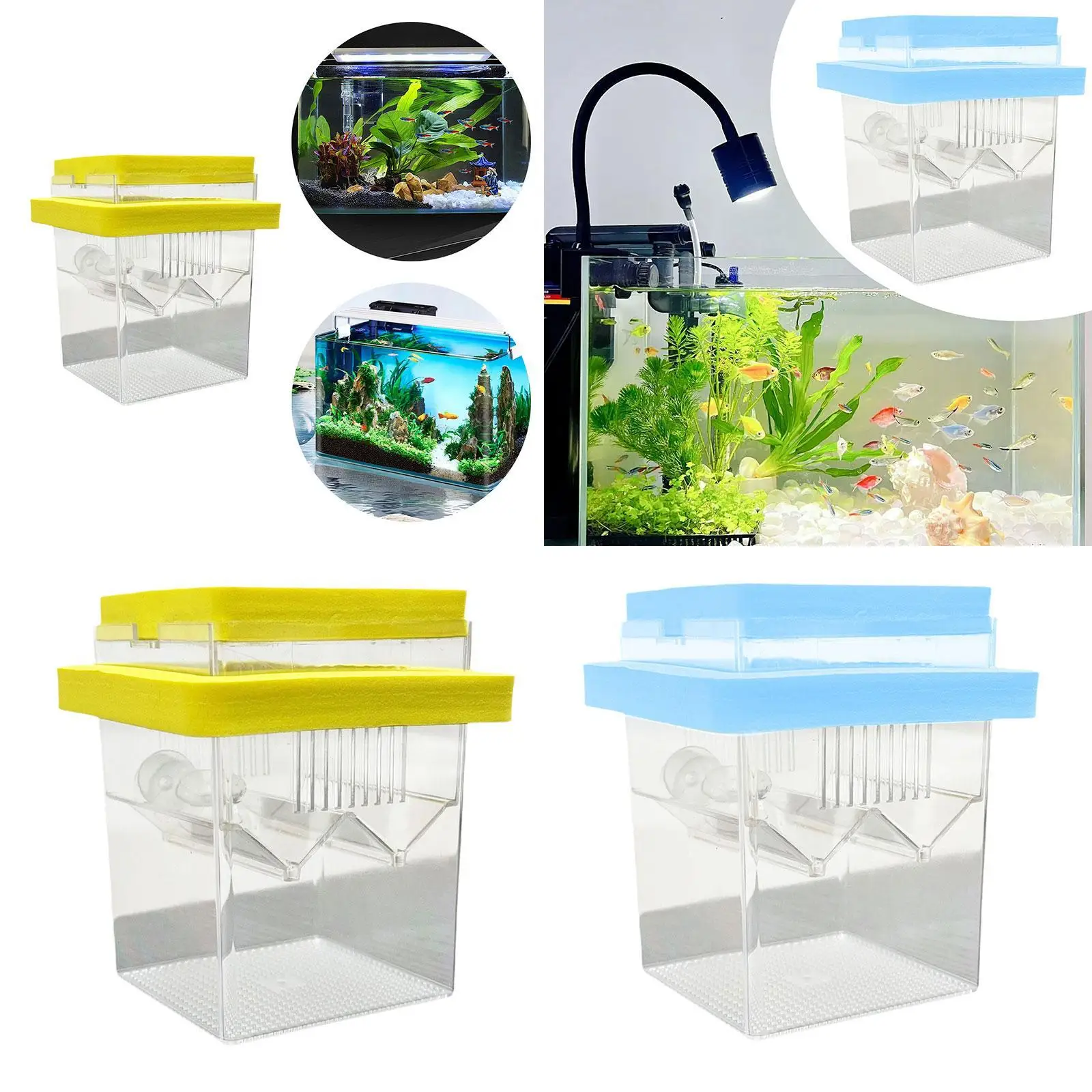 Incubadora flotante, caja de cría de peces, vivero de peces pequeños, caja de incubación de aislamiento de huevos para camarones, Betta, Guppy Fish - imagen 3