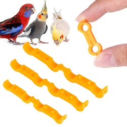 Férula correctora de patas para aves (periquitos, cacatúas y loros)
