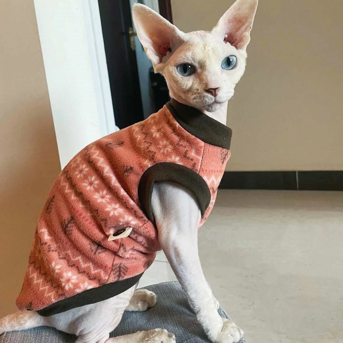 Suéter de invierno para gatos y perros Sphynx y Devon Rex – Naranja