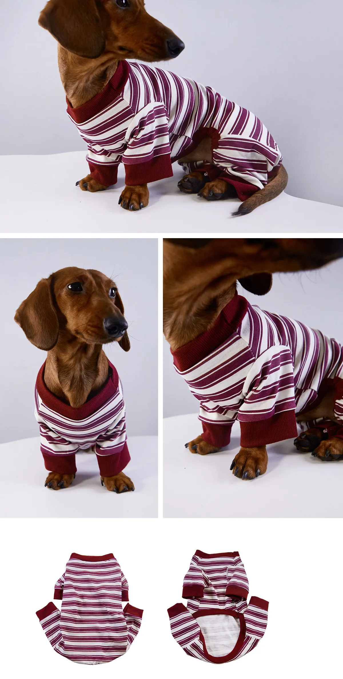 Sudadera a rayas para dachshund en perro