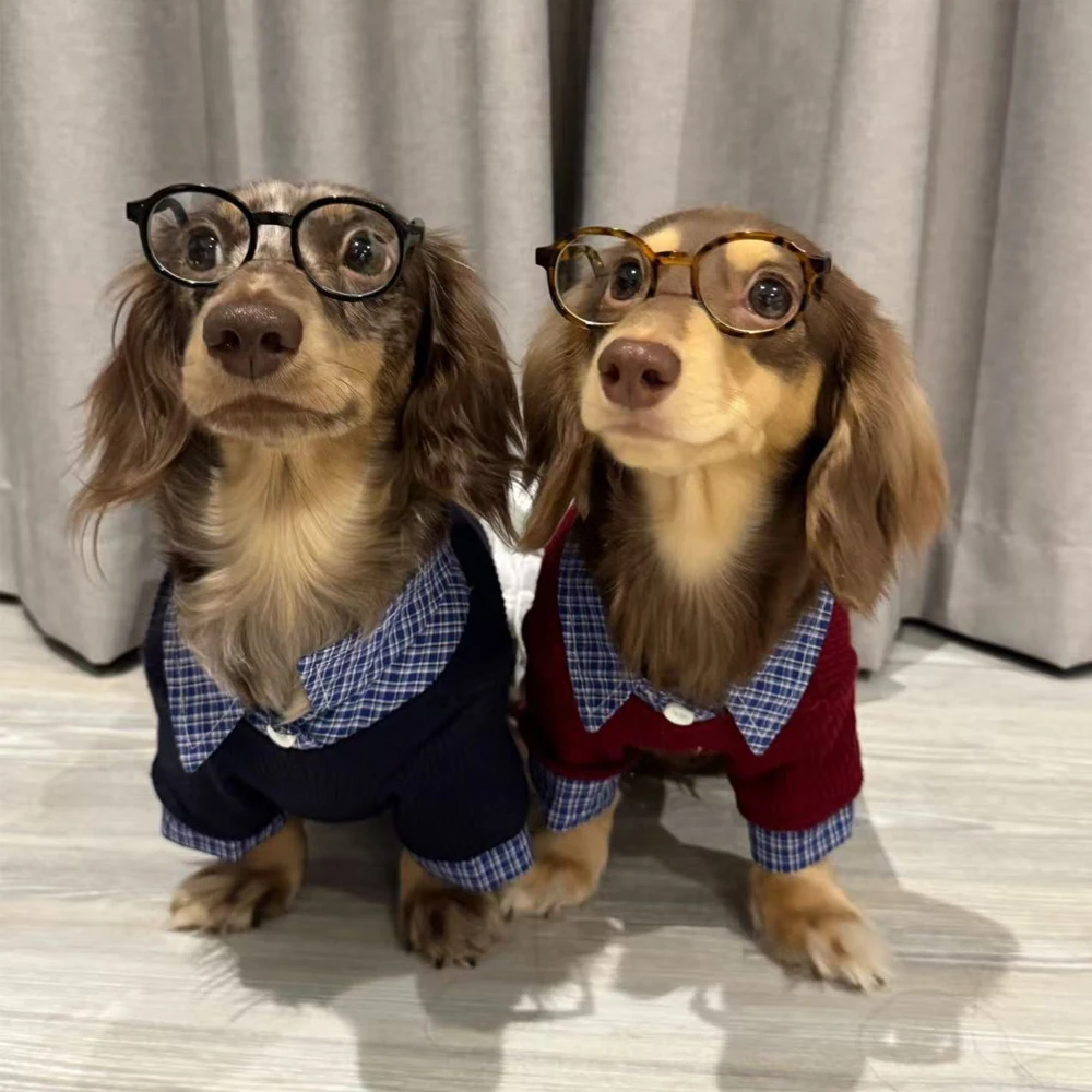 Camisa jersey caballero ropa para perro salchicha – cómodo elegante - imagen 2