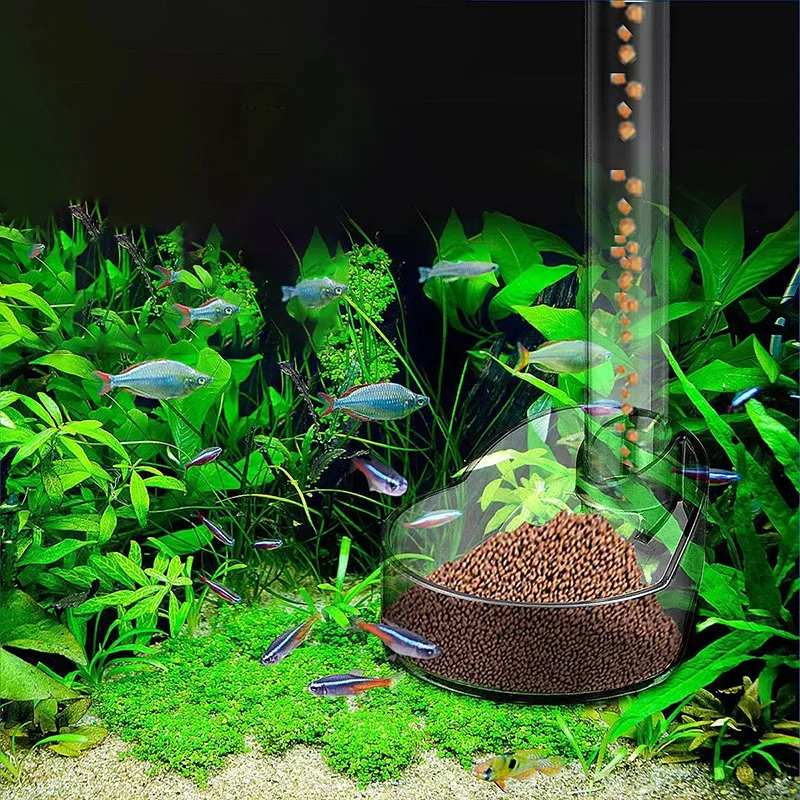 Alimentador de peces transparente, juego de plato de tubo de alimentación de camarones con anillos de alimentación, juego de alimentador de tanque de peces para cangrejos, peces, animales acuáticos - imagen 2