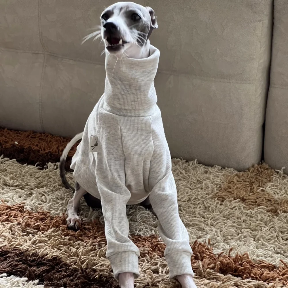 Camiseta gris claro elástica de algodón con cuello alto para Little Greyhound Whippet, mangas con volantes, abrigo de primavera, disfraz dulce para perro medio - imagen 2