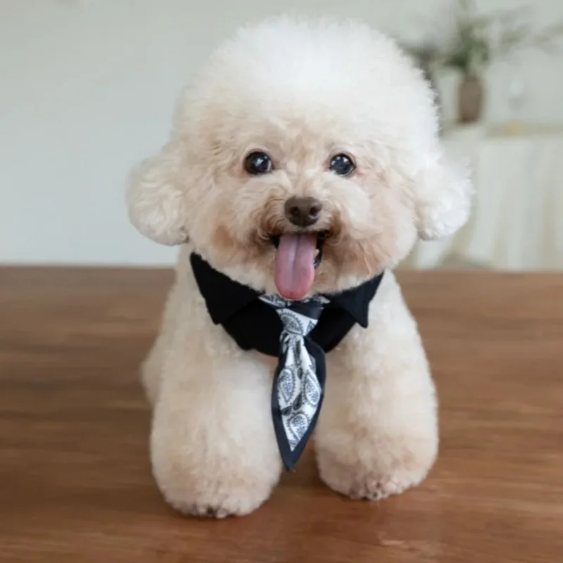 Chaleco de invierno para perros pequeños con bufanda integrada - imagen 3