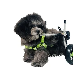 Silla de ruedas ajustable para perros y gatos paralizados