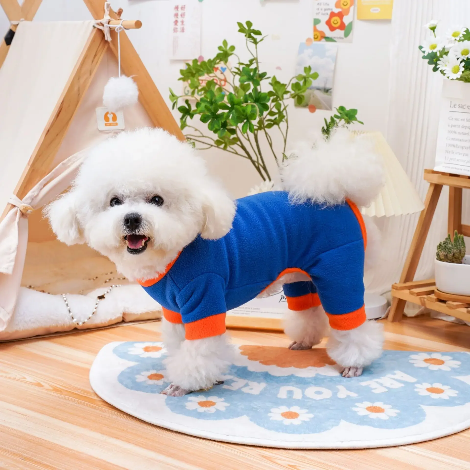 Otoño Invierno pantalones de cuatro patas contrastantes mono para mascotas ropa para perros pequeños chaqueta de retazos contrastantes oso de peluche perro pequeño - imagen 4