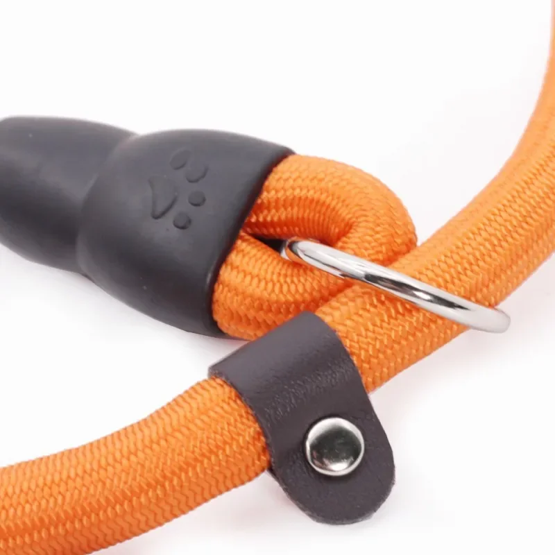 Collar ajustable para perro con cadena P de paseo y entrenamiento - imagen 4