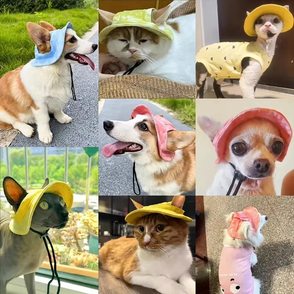 Sombrero solar para mascotas - Protección UV y orificios para orejas