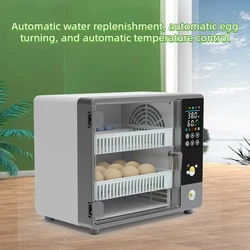 Incubadora automática de huevos con control térmico
