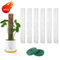 6Pcs-Moss Pole