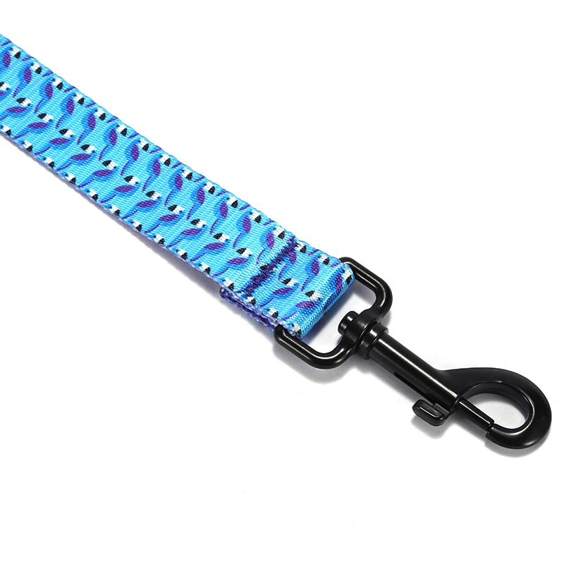 PLATTCO Correa para mascotas personalizada AZUL TOUCAN para perros pequeños, medianos y grandes para caminar todo tipo de perros 5 tamaños PDL315 - imagen 5