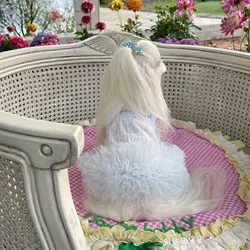 Chaleco sling transpirable de malla para perros pequeños – verano