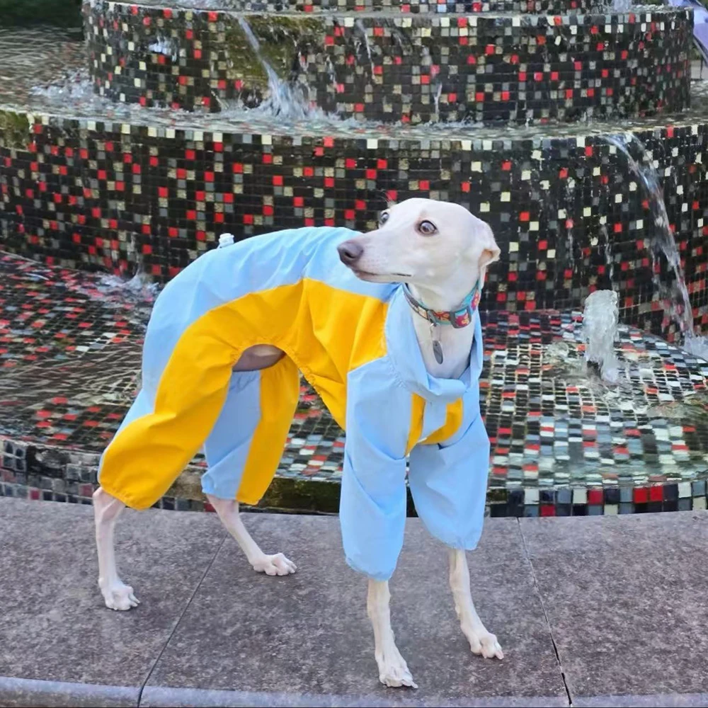 Chaqueta cortavientos azul-amarilla para galgo italiano, abrigo de 4 patas, sudadera suave para perros pequeños y medianos Whipbit
