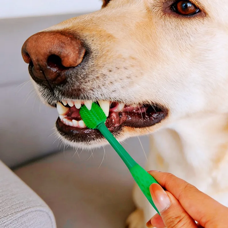 Juego de cepillos dentales doble cabezal para perros y gatos - imagen 3