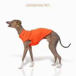 Chaleco verano con protección solar para perros pequeños y medianos