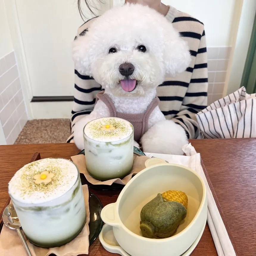 Lindo oso mascota pantalones de cuatro patas mono de felpa bordado para otoño e invierno Teddy ropa de felpa cálida ropa para perros pequeños - imagen 4