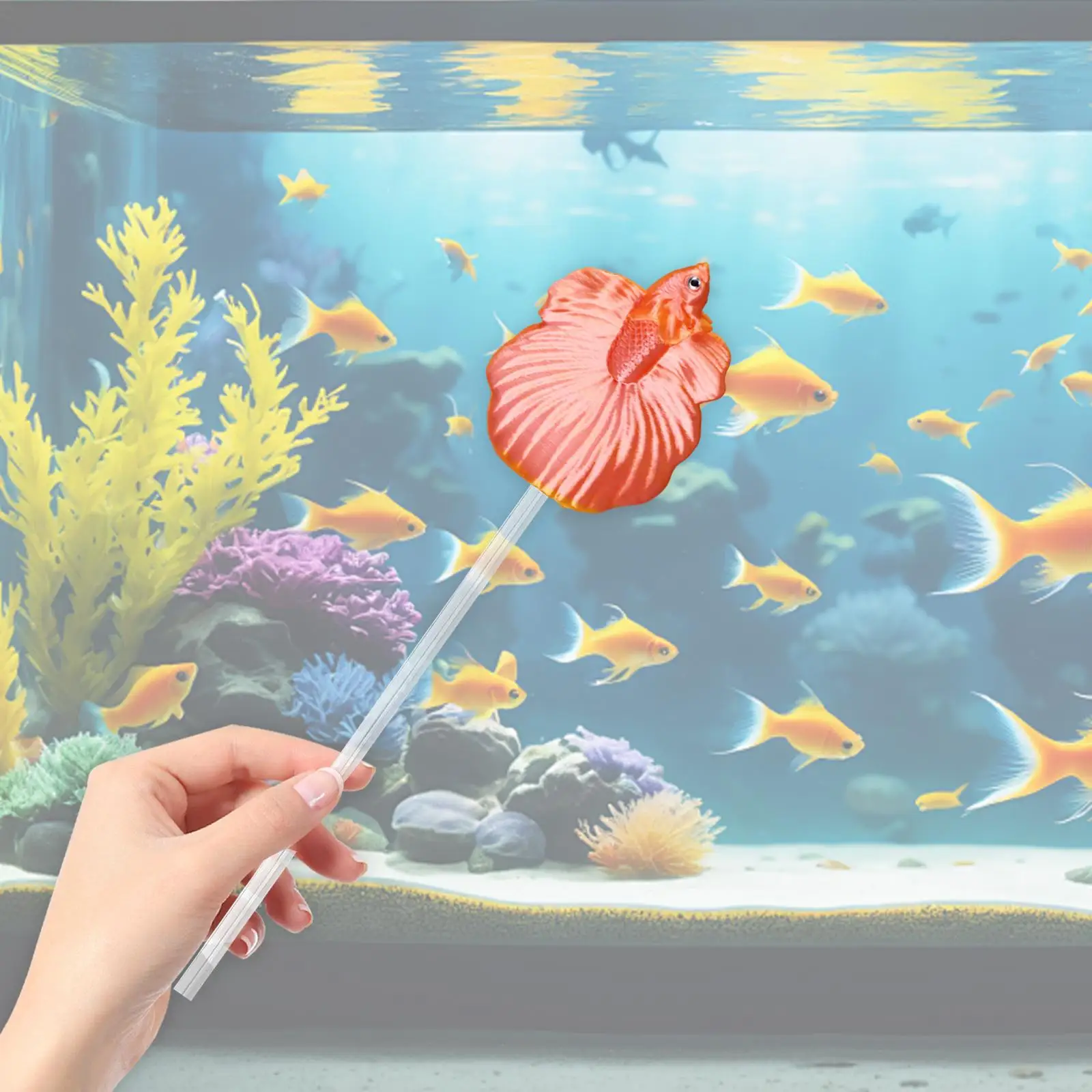 Betta Fish Training Wand, Interactive ,Aquarium Decoration,Tail Training Stick, Aquariums Wand, - imagen 4