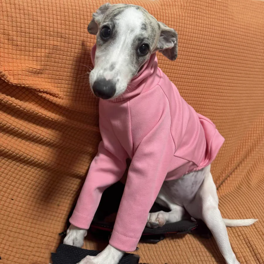 Camiseta de primavera estilo Janpanese para Italia Greyhound Soft Long Sleeves Spring Coat para ropa de whippet Verano Sweet Loungewear - imagen 5