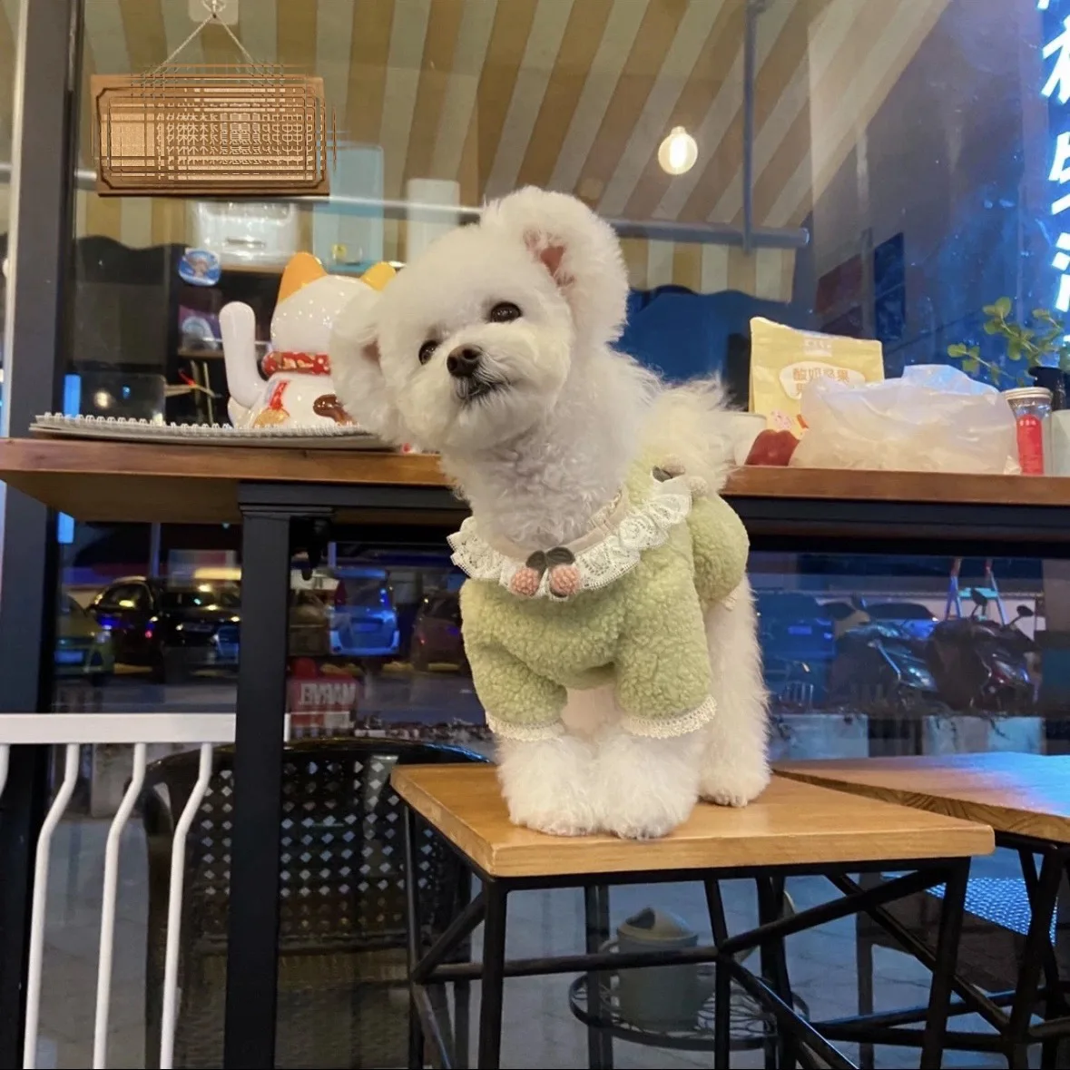 Suéter para mascotas, crema de pétalos, suéter de peluche, conjunto de oso Yorkshire, abrigo de otoño/invierno, ropa para cachorros, ropa para perros pequeños - imagen 2