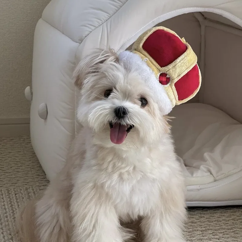 Juguete de peluche de lujo con sonido brillante para perros y gatos, juguete de dentición para olfatear, productos para mascotas - imagen 2