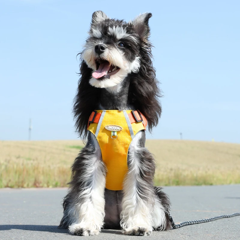 BOOTEELY Arnés de Bulldog Francés Chaleco Ajustable para Mascotas Reflectante Verano Transpirable Shiba Inu Arnés Contiene Golosinas - imagen 2