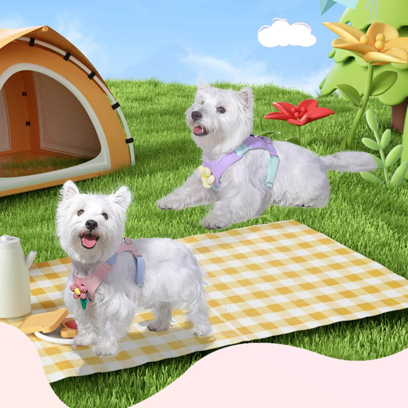 Pet Dog Harness for Small Dogs Light Weight Soft Dog Harness Vest Non-Escape Embrace Puppy Harness with Leash for French Bulldog - imagen 5