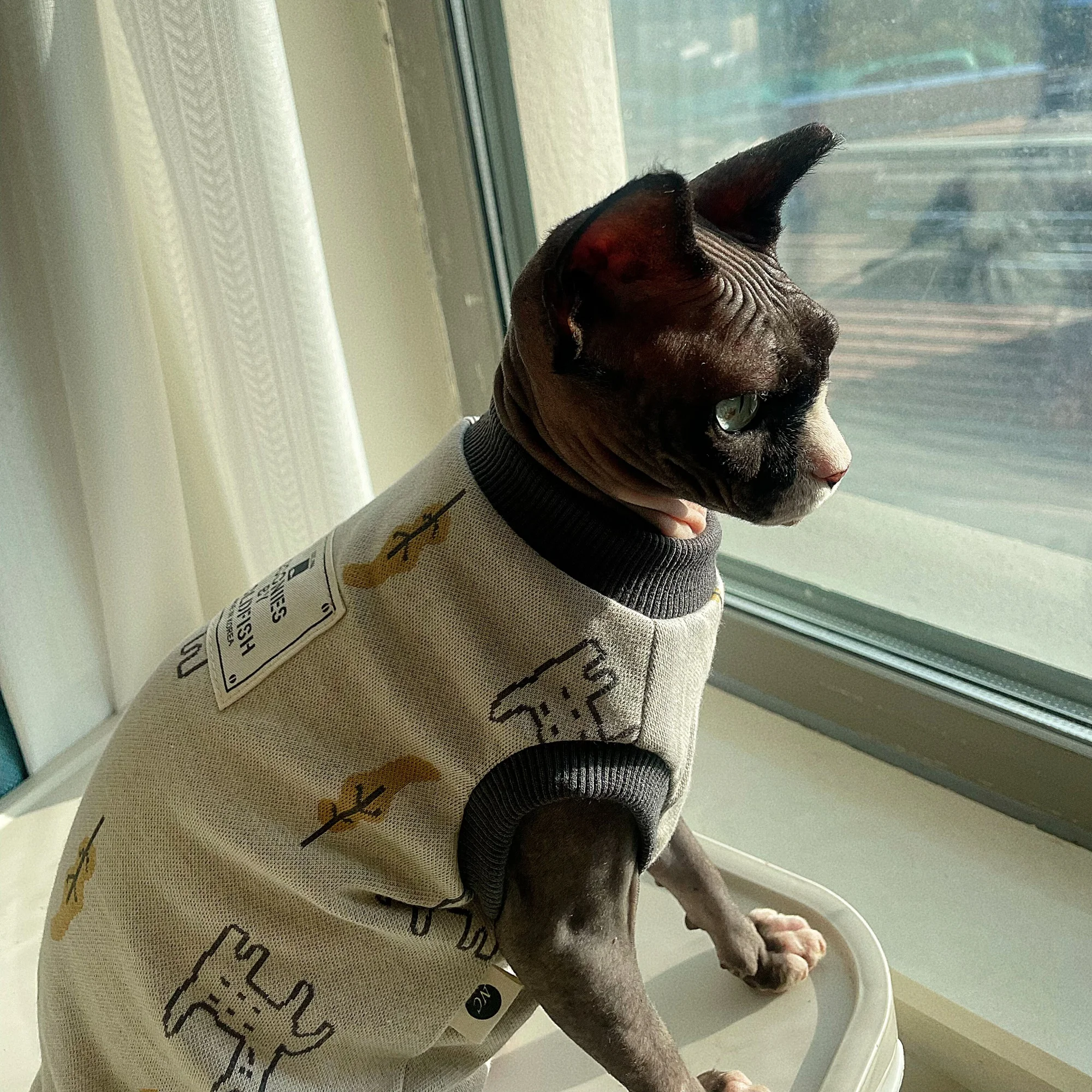 Camiseta de algodón gris elástico de alta calidad para Sphiynx Cat en primavera, chaleco con estampado de gatitos de manga corta, Pajiamas suaves para Devon Rex - imagen 4