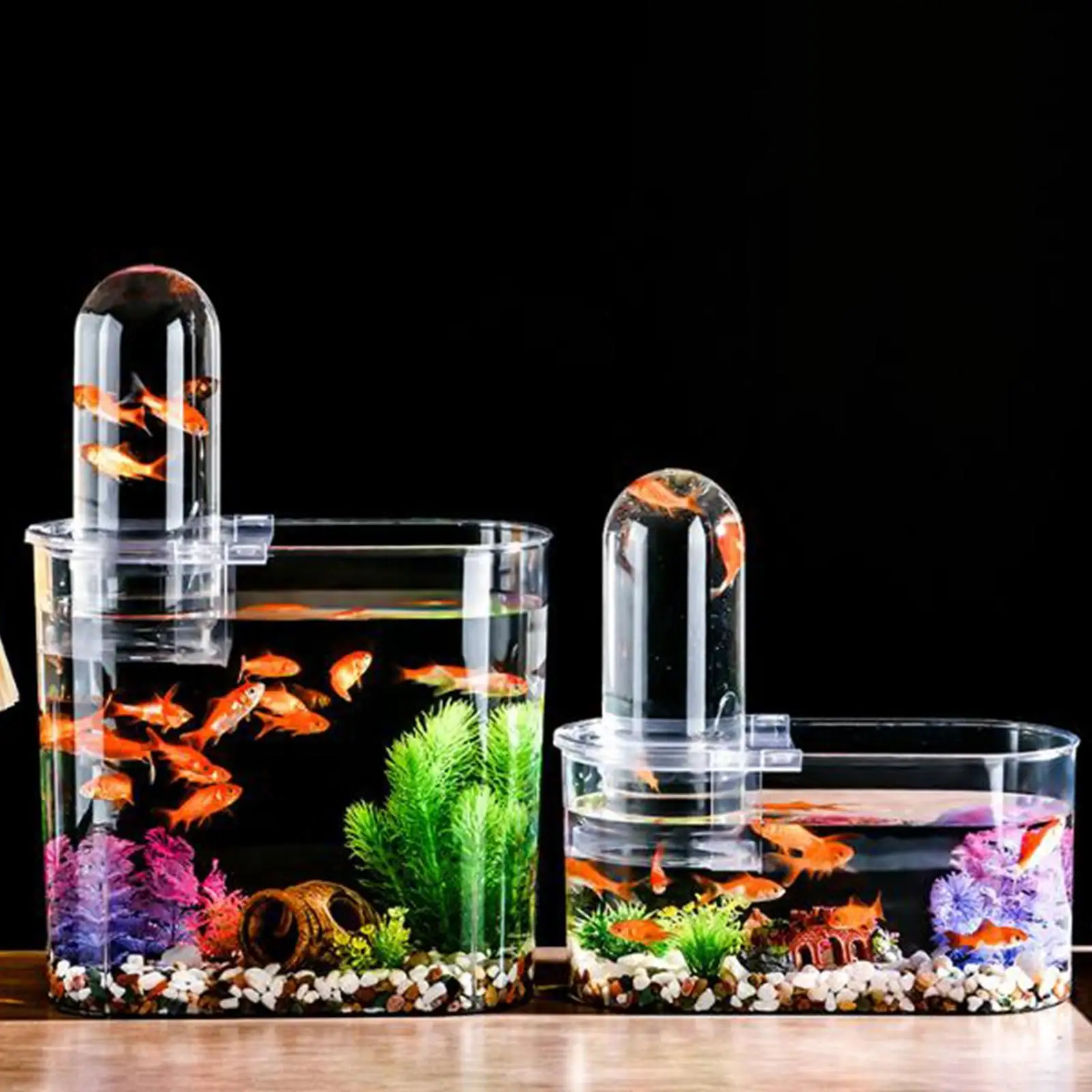 Mini Fish Tank Fish Bowl Sturdy with Cover Multiuse Turtle Tank Aquarium Tank for Home Living Rooms Desk Offices Decorative