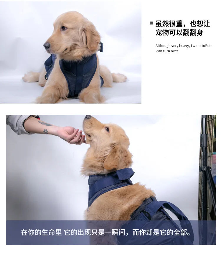 Auxiliary tape details page _12