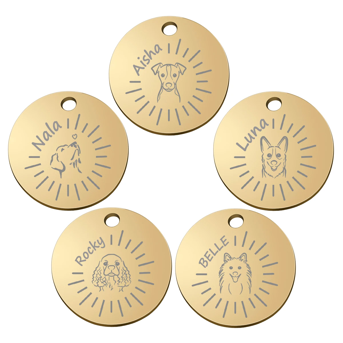 Etiqueta de identificación de perro personalizada, Collar de nombre de identificación de perro, grabado gratis, etiqueta de identificación de cachorro, etiquetas de nombre de mascota antipérdida, colgante, accesorios para mascotas - imagen 3