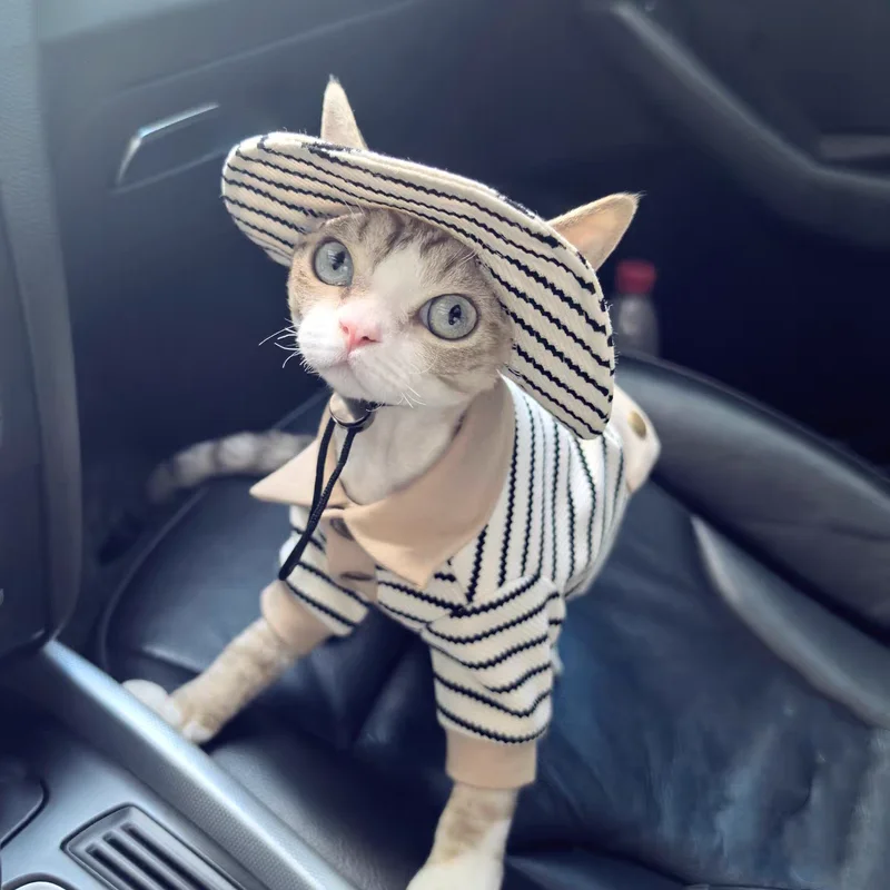 Polo de algodón a rayas para gato Sphynx, sudadera caqui de primavera para gatitos, bonito abrigo, sombrero, traje para gato sin pelo en otoño