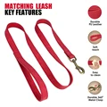 Red  Leash