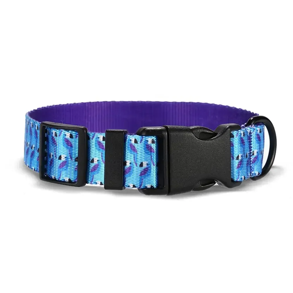 Collar de perro personalizado con grabado gratuito, correa para mascotas a juego, hebilla de contactos personalizados, Collar para mascota de gato loro azul - imagen 2