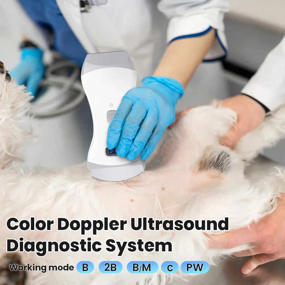 Ultrasonido inalámbrico veterinario, sonda 3 en 1, sistema de diagnóstico de escáner de ultrasonido Doppler Color para mascotas y animales - imagen 3