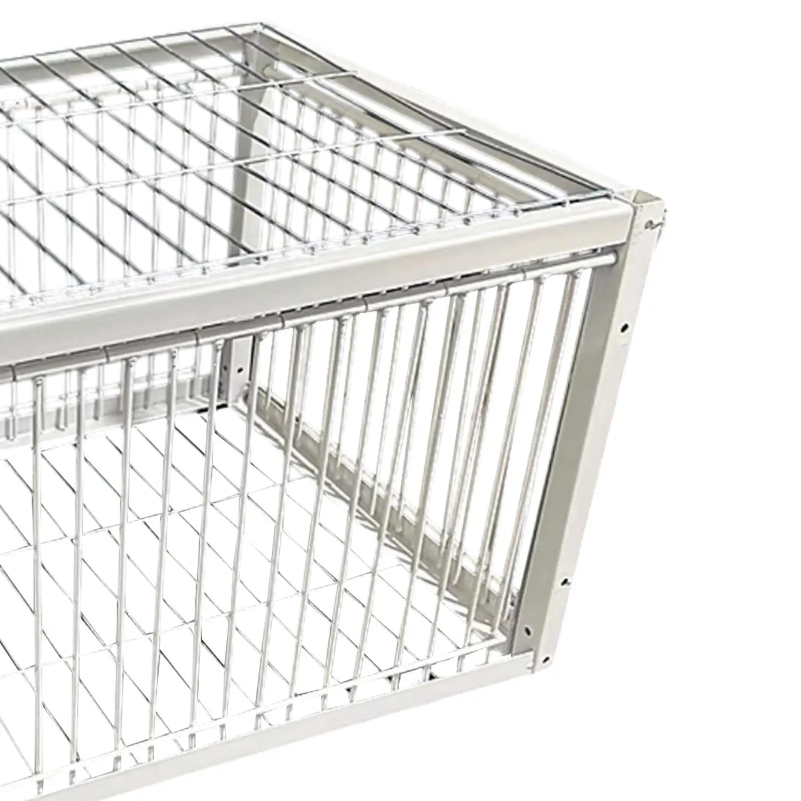 Pigeon Bird Trap Cage Automatic Pigeon Collection for Chicken Sparrows Feral