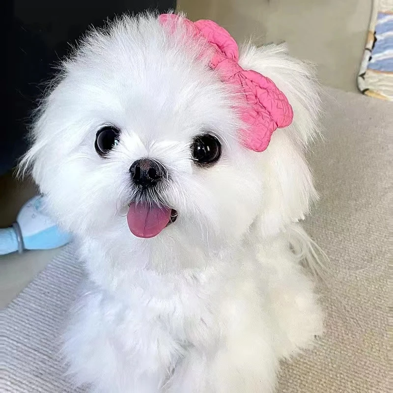 Pinza para el pelo con lazo para mascotas, accesorio para perros y gatos, color rosa, delicado, encantador, dulce, Yorkshire, Marzis - imagen 3